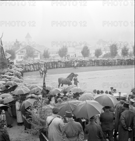 40th MarchéConcours Saignelégier, demonstration, 1943
