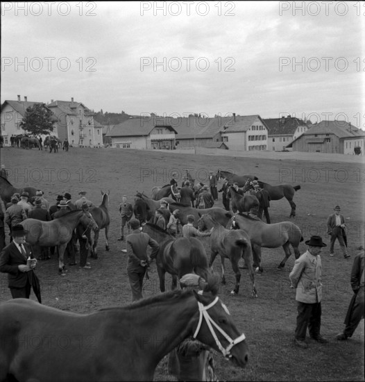 38th Marché Concours Saignelégier, 1941