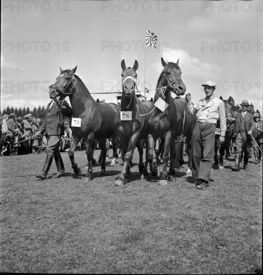 37th Marché Concours Saignelégier, 1940