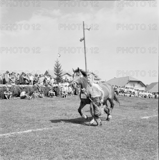 55th MarchéConcours Saignelégier, horse Daguerette, 1958