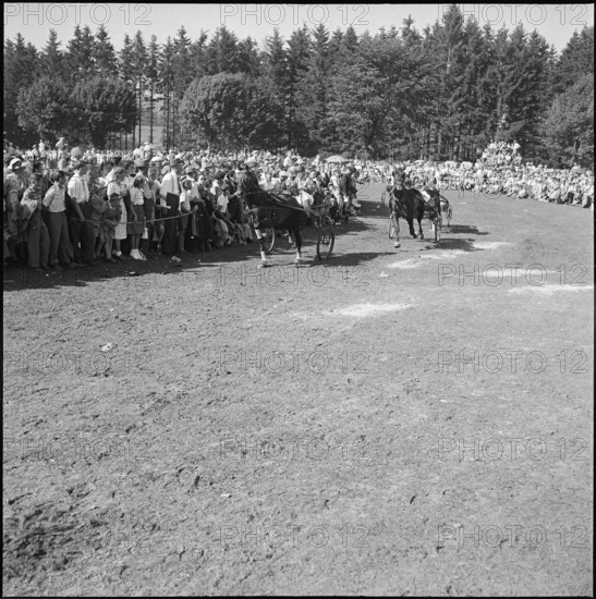 50th MarchéConcours Saignelégier, harness racing; 1953