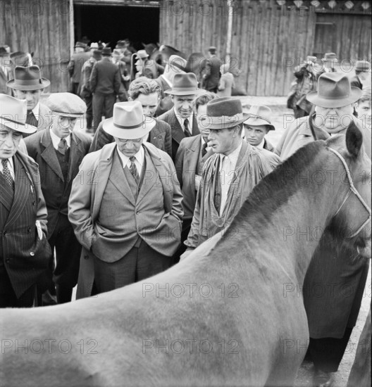 42nd MarchéConcours Saignelégier, horse market, 1945