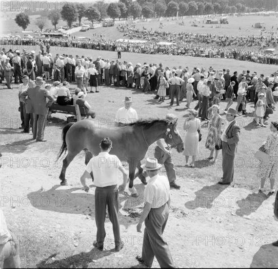 55th MarchéConcours Saignelégier, demonstration, 1958