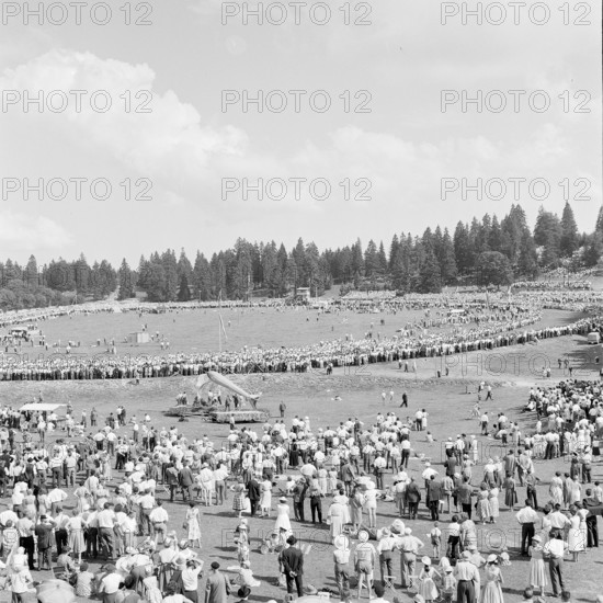 55th MarchéConcours Saignelégier, demonstration, 1958