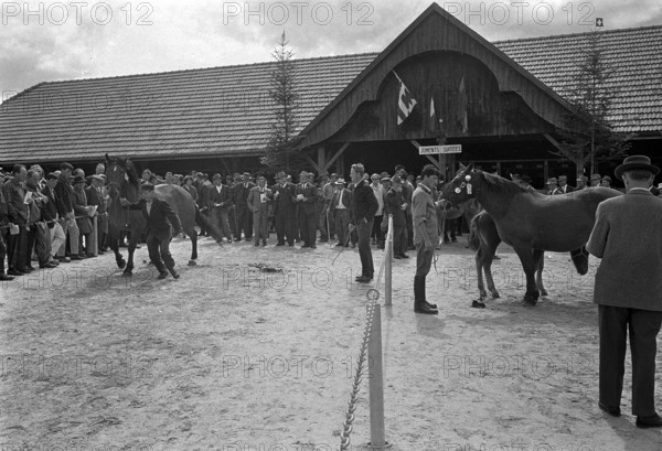 61st Marché Concours Saignelégier, 1964