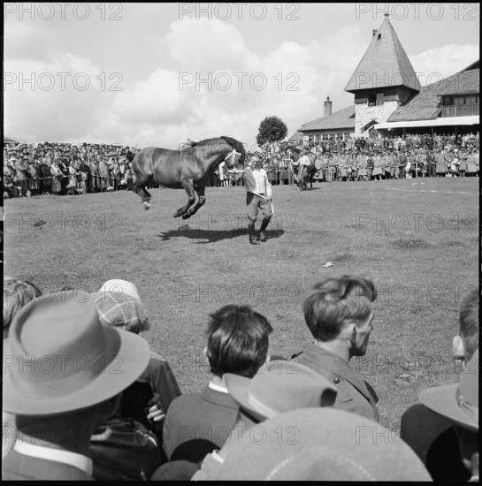 53rd MarchéConcours Saignelégier, demonstration, 1956