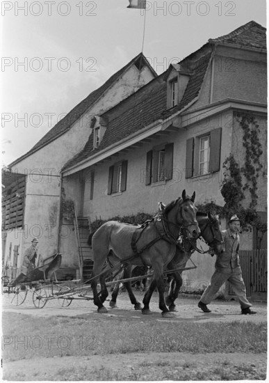 WWII: Swiss farmer on the French border, Basel 1945