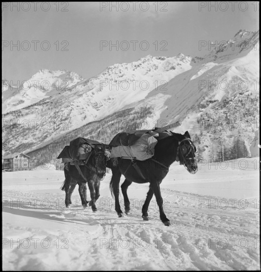 Yenish women living on camping site near Geneva, 1945