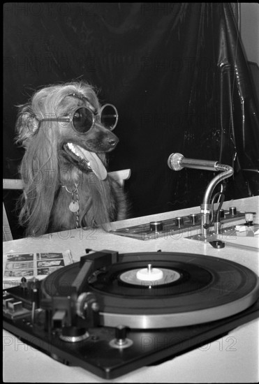 Schindellegi 1970: dog as a discjockey, DJ.
