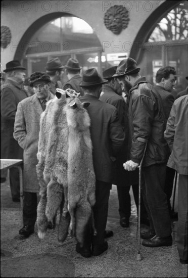 Fur market in Lucerne 1971.