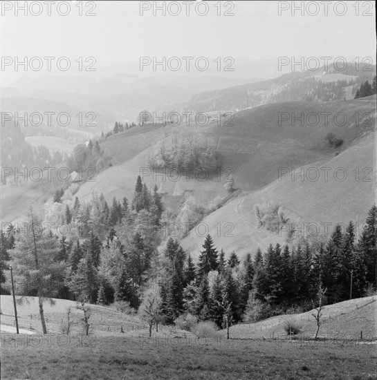 Lüdern in the Emmental; 1966.