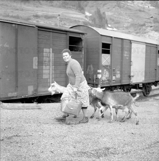 Farmer with goats infected by the malta fever, 1958.