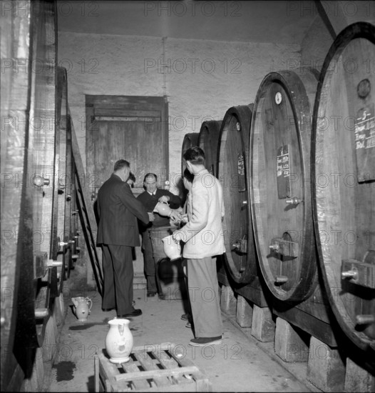 Mise des vins de la ville de Lausanne, wine auction: degustation, 1954.