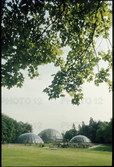Greenhouses in Botanical Garden Zurich 1986.