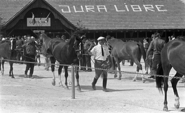 69th Marché-Concours Saignelégier, 1972.