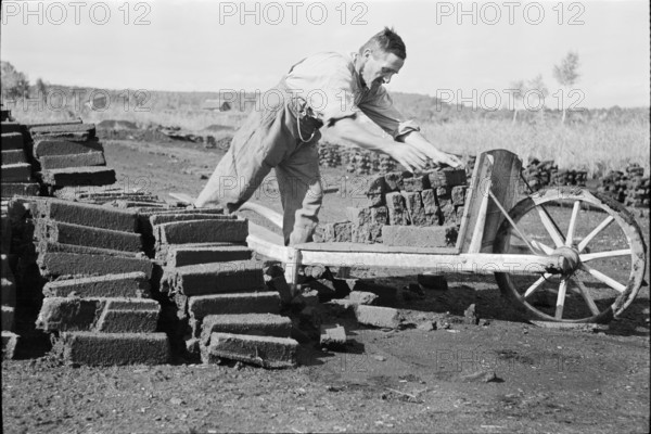 Cutting peat for briquettes; loading wheelbarrow; 1940.