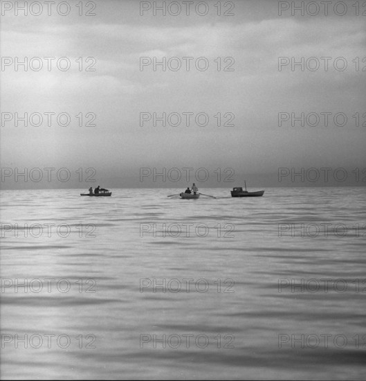 Catching whitefish in the Lake Constance, 1957.