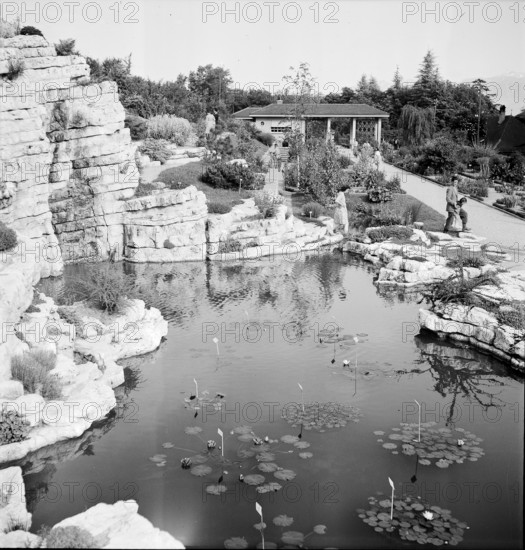 Lausanne, Botanical Garden: 1946.