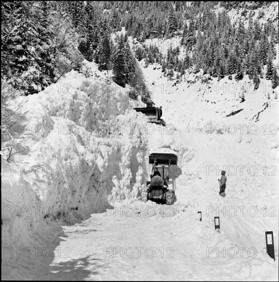 Avalanche in the Safien valley: clearance work, 1956.