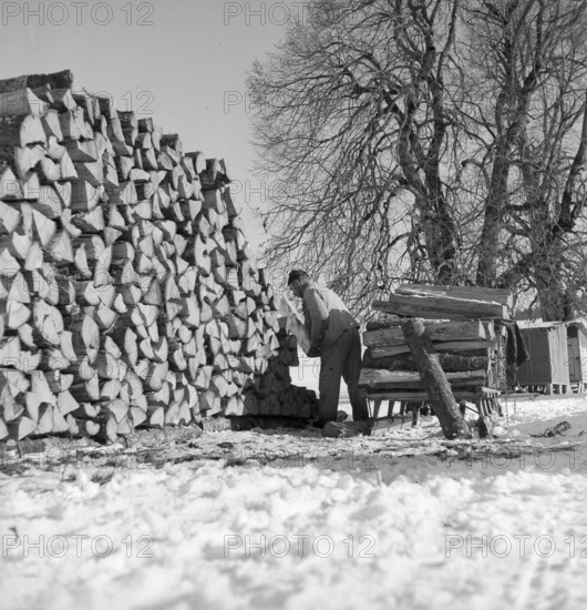 Woodcutter, pile of wood, 1943.