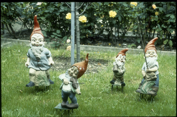 Allotment with garden gnomes 1980.