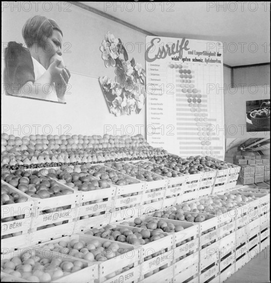 Information board on apple sorts; 1940.
