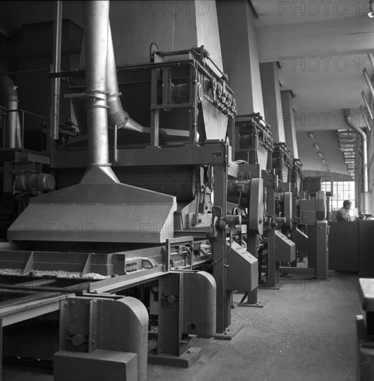 Production of Novopan boards, 1959.