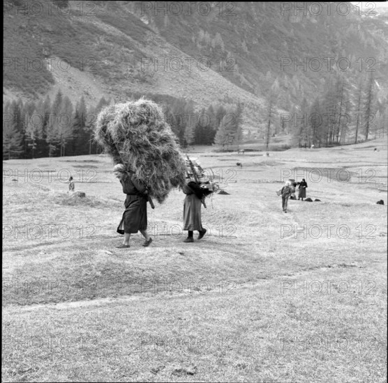 Women Working in the Field, Bosco Gurin 1956.