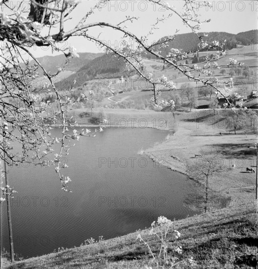 Countryside near the village Finstersee, 1946.