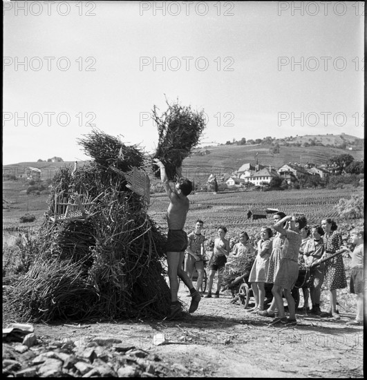 The population of a winegrower village prepares the national holiday celebration.