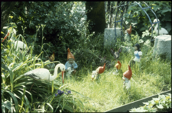 Allotment with garden gnomes 1980.