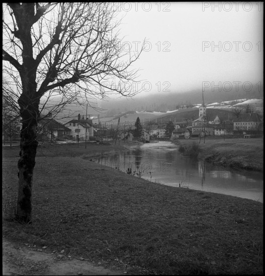 Travers; 1950.