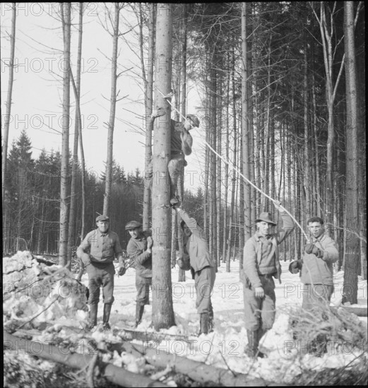 Land reclamation, extend area of cultivable land; ; clearing; 1942.