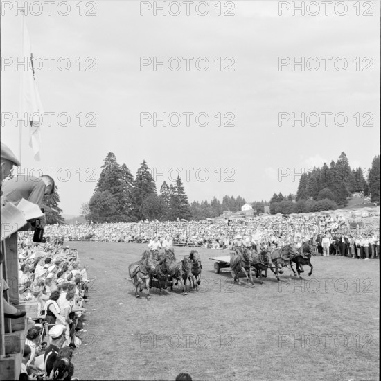 55th Marché-Concours Saignelégier, chariot race, 1958.