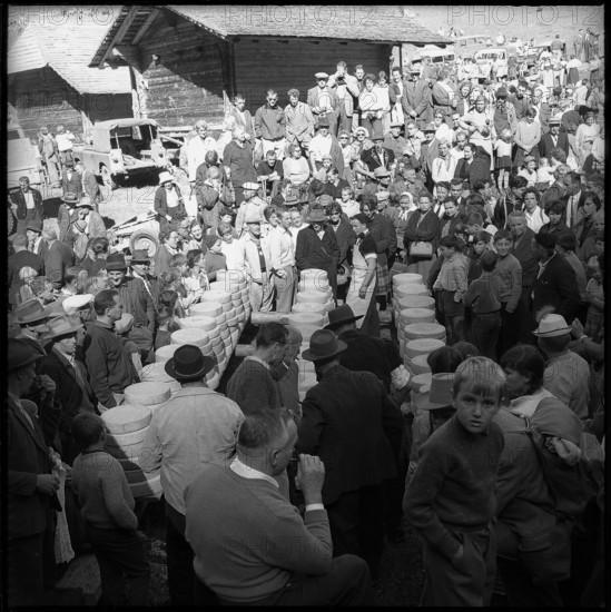 Distribution of cheese in the Justistal Valley, 1964.