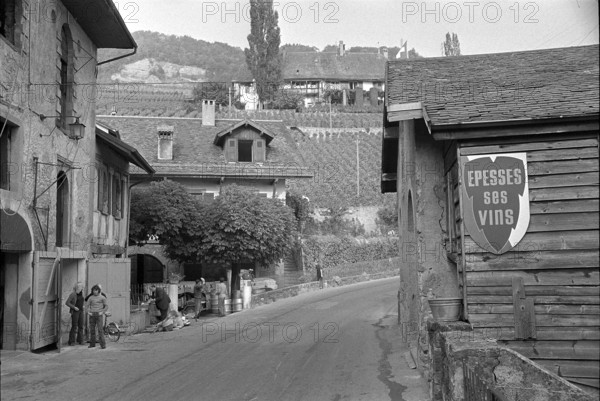 Epesses; 1971.