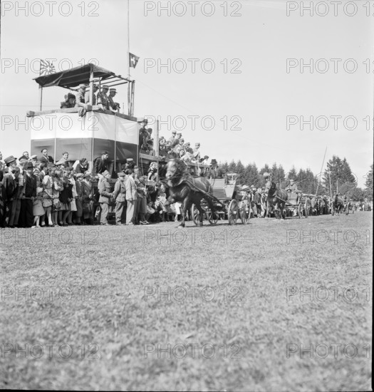 37th Marché-Concours Saignelégier, one-horse carriage, 1940.