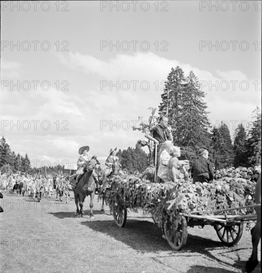 38th Marché-Concours Saignelégier, parade, 1941.