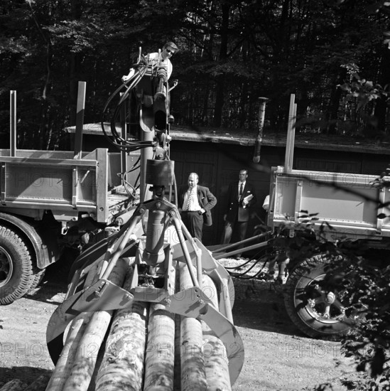 transport of tree trunks with crane.
