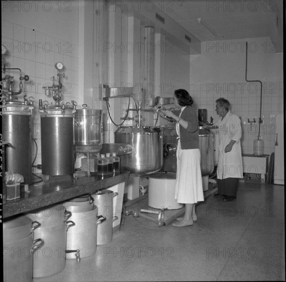Swiss serum and vaccination Institute, laboratory 1956.