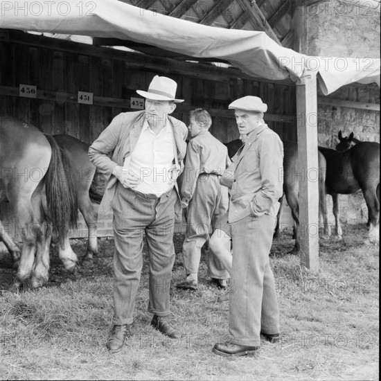 55th Marché-Concours Saignelégier, 1958.