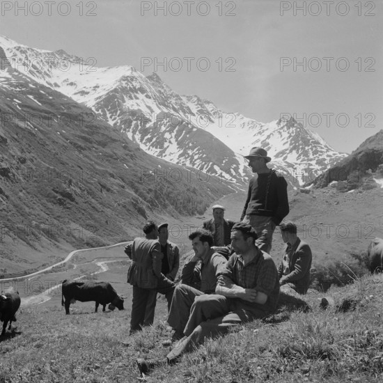 Farmers resting in the mountain pastures, 1955.