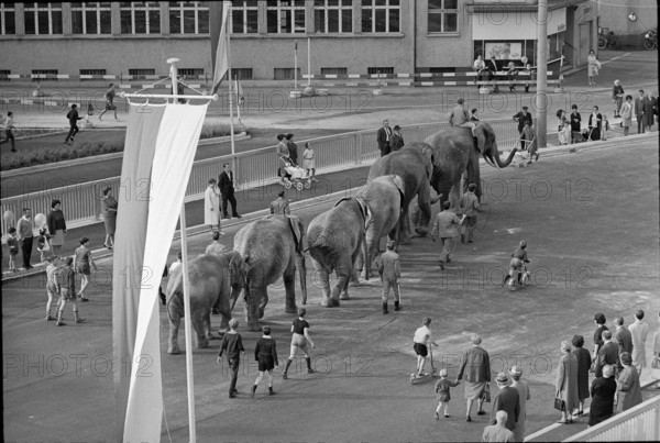 Basle, procession, inauguration of Luzernerring bridge; 1965.