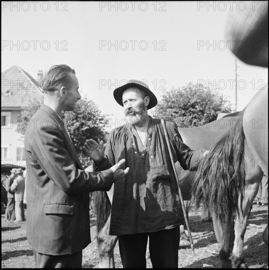 Horse market of Chaindon-Reconvilier, 1954.