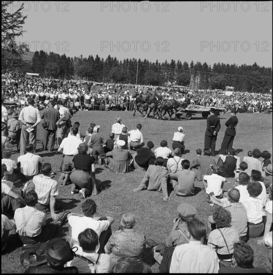 50th Marché-Concours Saignelégier, four-in-hand, 1953.