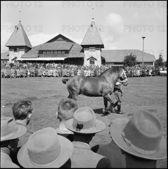 53rd Marché-Concours Saignelégier, parade, 1956.