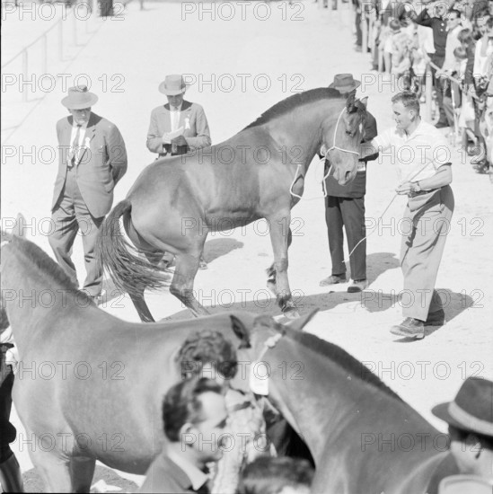60th Marché-Concours Saignelégier, jury, 1963.