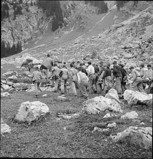 WW 2: farming camp; apprentices clearing a mountain pasture, 1942.