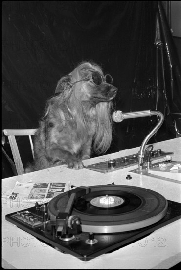 Schindellegi 1970: dog as a discjockey, DJ.