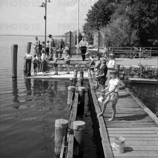 Boys fishing competition at Greifensee; Niederuster 1955.
